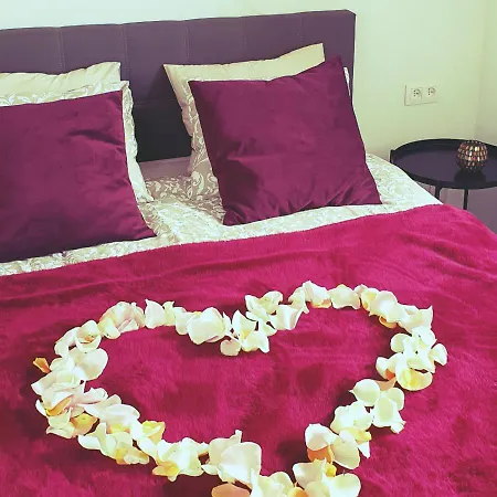 La Belle Mosane De La Plante Daire