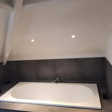 La Belle Mosane De La Plante * Namur